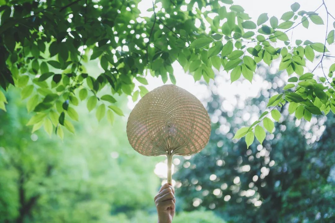 立夏丨春光萬象中，夏日初長(zhǎng)成--易造防雷